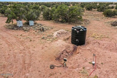 8804 Johnson Hill Trail, Snowflake, AZ 85937 - photo 4