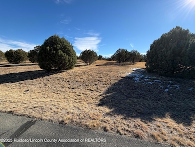 103 Cochiti Ct, Alto, NM 88312 - photo 4