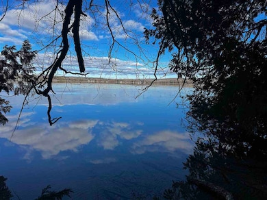 Vacant Township Park Rd, Springvale Township, MI 49770 - photo 2