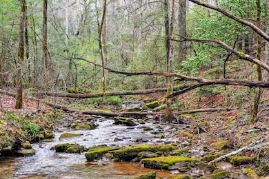 2424 Corral Rd, Signal Mountain, TN 37377 - photo 2