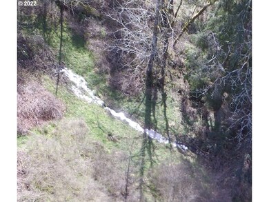 28310 NE Yacolt View Rd, Yacolt, WA 98675 - photo 3