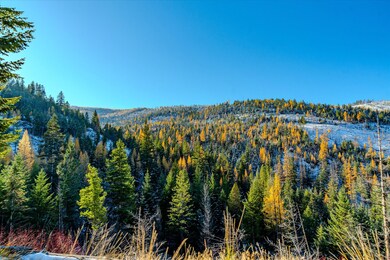 Nhn, Libby, MT 59923 - photo 7