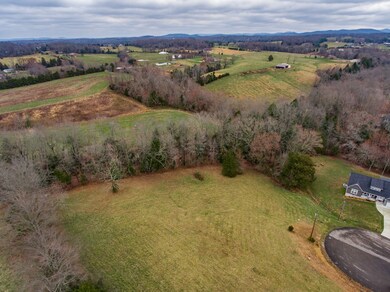 3250 Falcon Trail, Cookeville, TN 38506 - photo 4