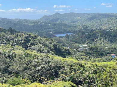 View of Lake Garzas