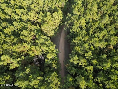 1 N Will Floyd Rd, Crosby, MS 39633 - photo 4