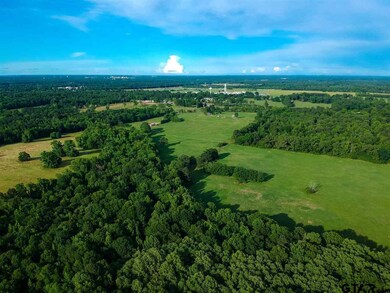 3916 S Kings Hwy, Texarkana, TX 75501 - photo 6