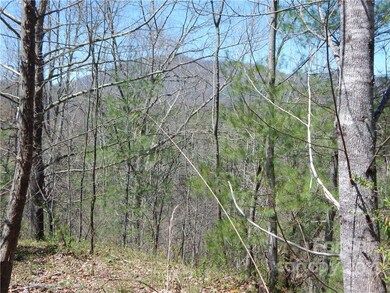 00 Blueberry Dr unit A, Cane River, NC 28714 - photo 2