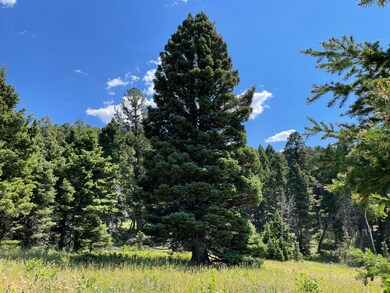 17,18, &22 Shining Mountains Unit 3, Ennis, MT 59729 - photo 6