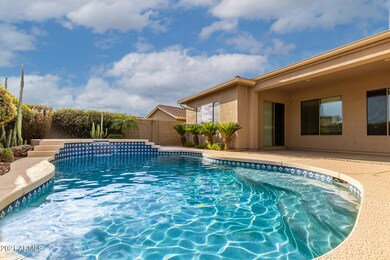 Pool & Patio
