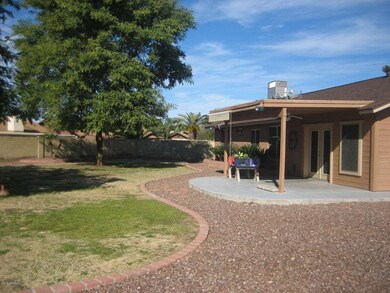 Covered Patio & Backyard