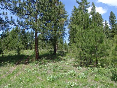 Sloped & Wooded Terrain