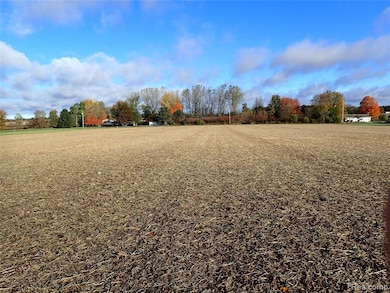 0 Hayner Rd unit 20251044211, Fowlerville, MI 48836 - photo 4