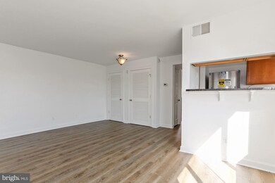 717 Brandywine St SE unit 301, Washington, DC 20032 - photo 6