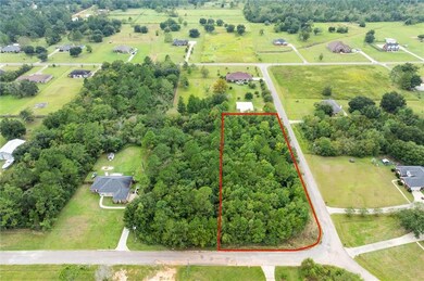 0 Deerfield Ct unit 7462935, Irvington, AL 36544 - photo 2