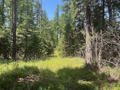 13643 Sundance Trail, Bigfork, MT 59911 - photo 6