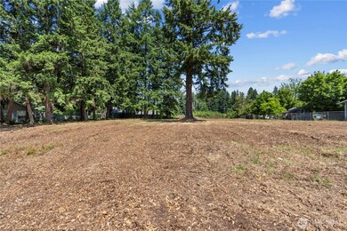 4921 161st St E, Frederickson, WA 98466 - photo 5