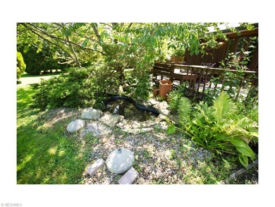 Fish Pond