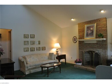 Brick, wood-burning fireplace
