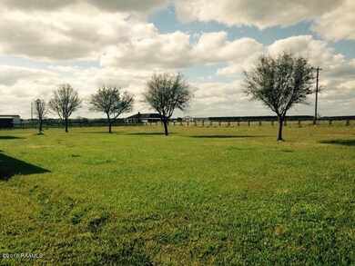 (2)Front Yard