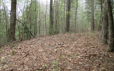 0 Ladybug Ln unit 284022, Blue Ridge, GA 30513 - photo 3