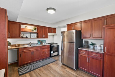 Brand new LVP flooring