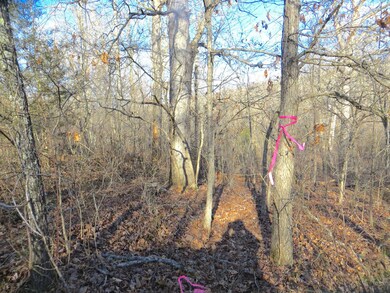 000 Ridgehaven Rd, Mammoth Spring Township, AR 72554 - photo 7