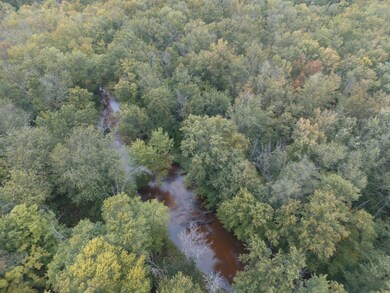 DJI_0290