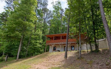 Additional View