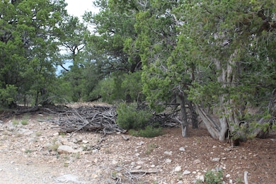 5 Manzano Loop, Five Hills, NM 87059 - photo 3