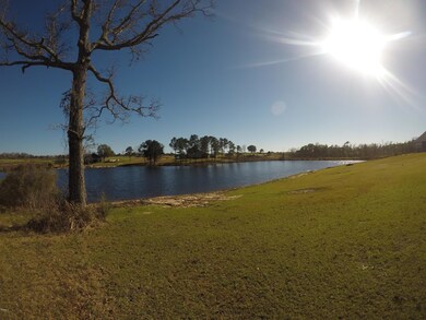 17 R Williams Ln, Lucedale, MS 39452 - photo 5