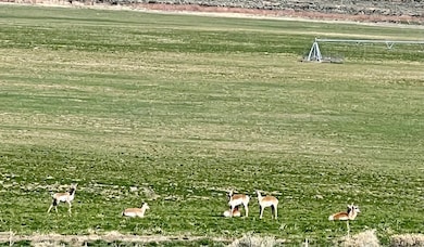 0 Tdb- 20 Acre Parcel unit 3626182, Montello, NV 89830 - photo 6