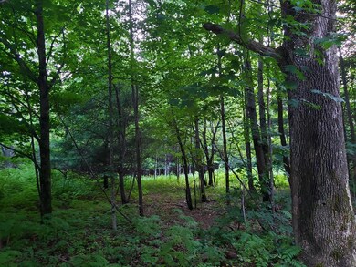 20190829_190632 (Copy)