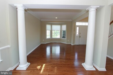 25242 Crossfield Dr, Chantilly, VA 20152 - photo 4