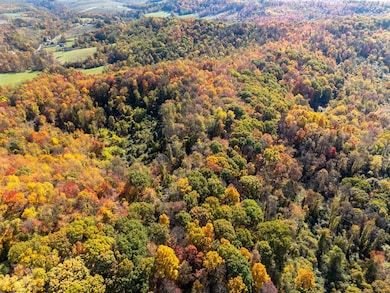 Parcel A Guston Run Rd, Cassville, WV 26501 - photo 7