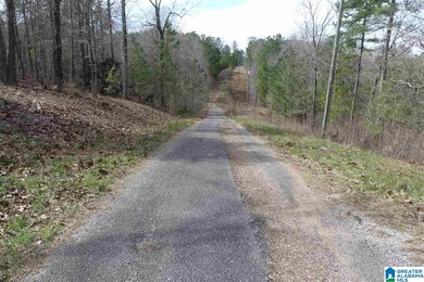 LOT # 18 Overlook Dr, Wedowee, AL 36278 - photo 7