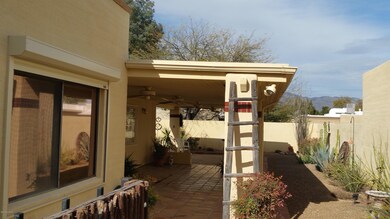 Side Yard