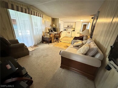 Living Room into Kitchen