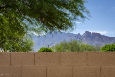Catalina Mountain Views