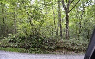 Lot 3 Maple Rest Ln, Ellijay, GA 30540 - photo 6