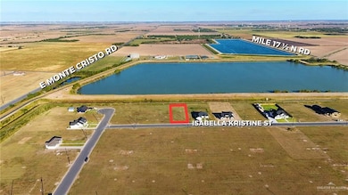 20668 Isabella Kristine St, Edcouch, TX 78538 - photo 4