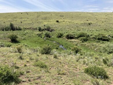 565 / 365 Marcy Ave, Westcliffe, CO 81252 - photo 6