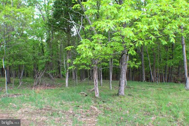 8.05 Acres Morgantown Rd, Maysville, WV 26833 - photo 6