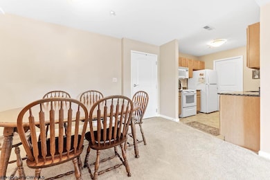 View at the Park I, Morgantown, WV 26505 - photo 5