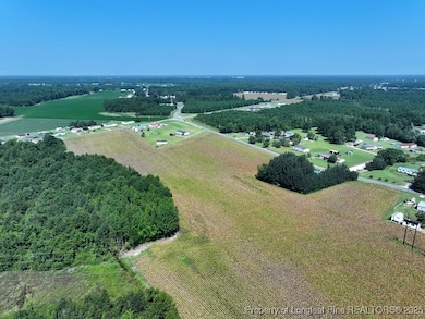 TBD Alamac Rd, Lumberton, NC 28358 - photo 2