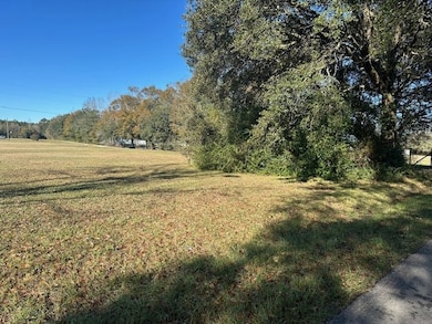 NHN Werner Rd, Picayune, MS 39466 - photo 4