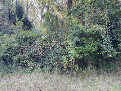 000 Quattlebaum Ave, Ridge Spring, SC 29129 - photo 6