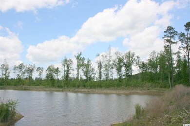 248 Maple Oak Dr unit Pecan, Conway, SC 29526 - photo 2