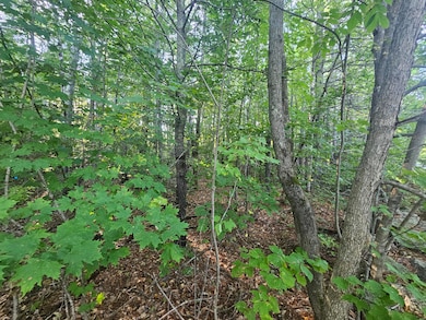 708 Webbs Mills Rd, Raymond, ME 04071 - photo 2