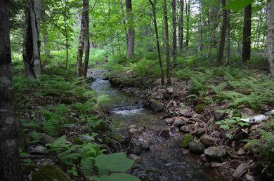 00 Spaulding Rd, Plymouth, VT 05056 - photo 6