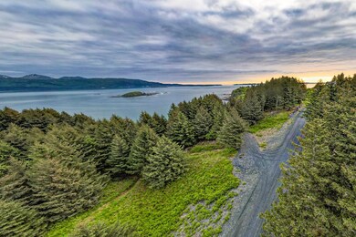 6186 Cliff Point Rd, Kodiak, AK 99615 - photo 6